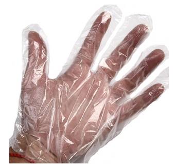 Disposable Pe GLOVE